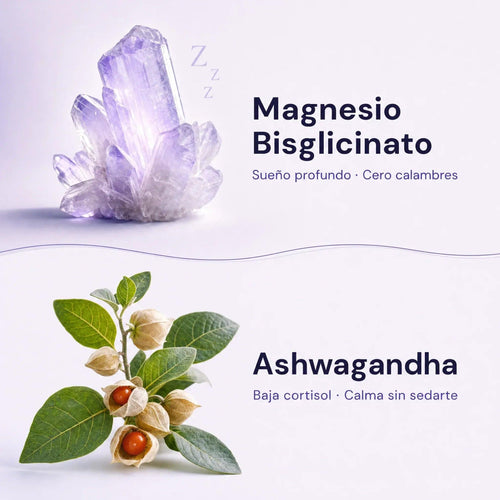 Ingredientes KOVA Paz Mental: Magnesio Bisglicinato para sueño profundo y cero calambres, y Ashwagandha para bajar cortisol y calma sin sedarte.